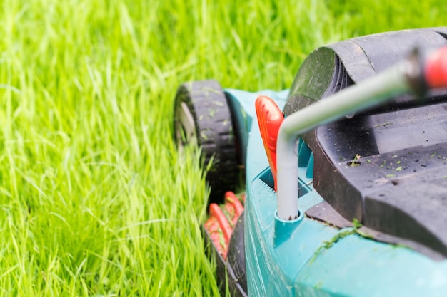 lawn care, grass maintenance, mowing, healthy lawn