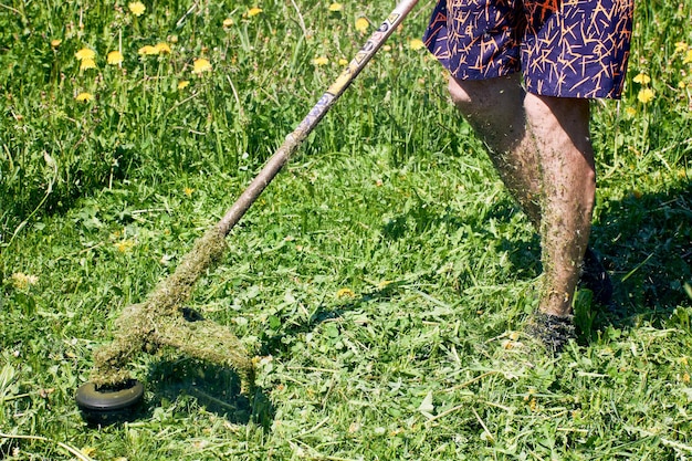 lawn installation, sod laying, professional work