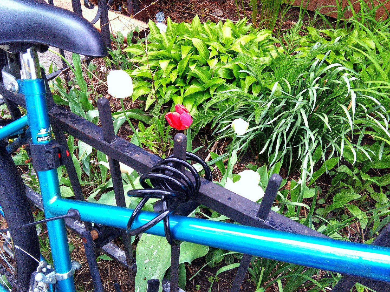 zavlažovací systém, automatické zavlažovanie, inštalácia